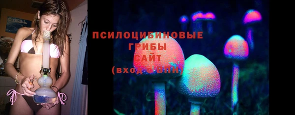 ешки Богданович